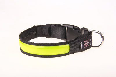 Collar Luminoso Recargable para Perros Golden Retriever y Mascotas - Image 12