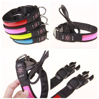 Collar Luminoso Recargable para Perros Golden Retriever y Mascotas - Image 10