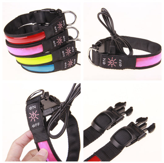 Collar Luminoso Recargable para Perros Golden Retriever y Mascotas - Image 10