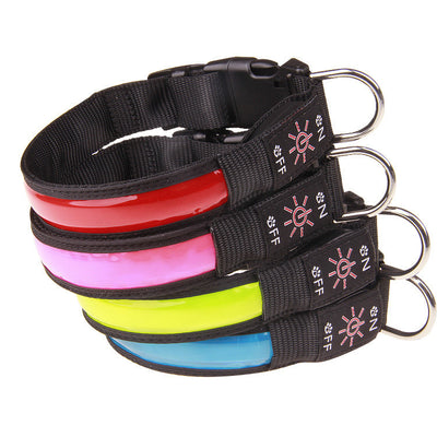 Collar Luminoso Recargable para Perros Golden Retriever y Mascotas - Image 11