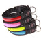 Collar Luminoso Recargable para Perros Golden Retriever y Mascotas