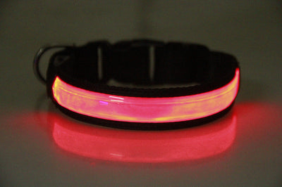 Collar Luminoso Recargable para Perros Golden Retriever y Mascotas - Image 5