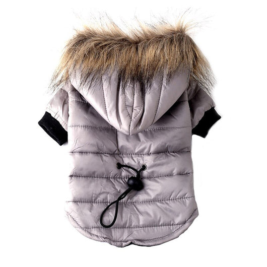 Suéter Teddy para Mascotas Otoño e Invierno - Image 2