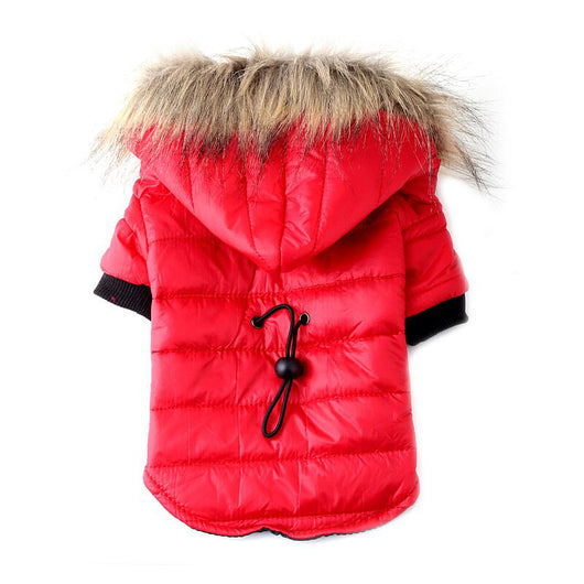 Suéter Teddy para Mascotas Otoño e Invierno - Image 4