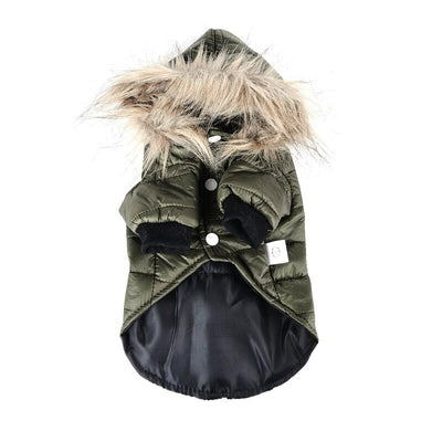 Suéter Teddy para Mascotas Otoño e Invierno - Image 3