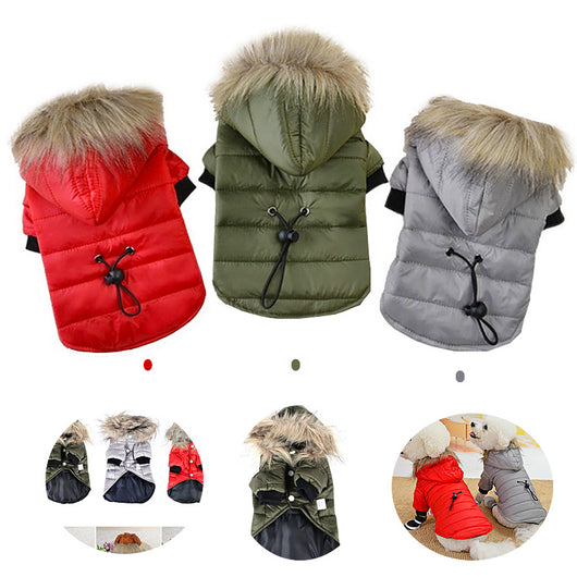 Suéter Teddy para Mascotas Otoño e Invierno