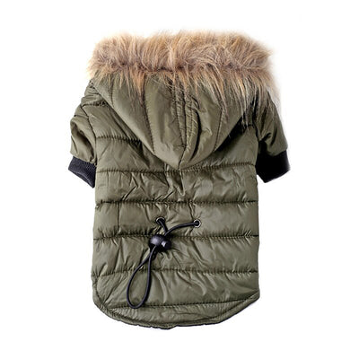 Suéter Teddy para Mascotas Otoño e Invierno - Image 5
