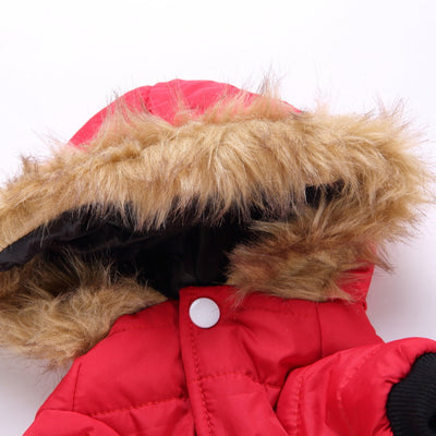 Suéter Teddy para Mascotas Otoño e Invierno - Image 10