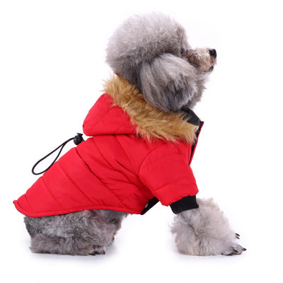 Suéter Teddy para Mascotas Otoño e Invierno - Image 8
