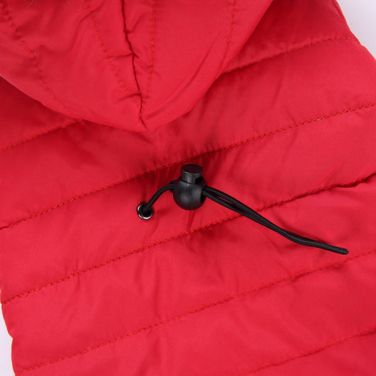 Suéter Teddy para Mascotas Otoño e Invierno - Image 11