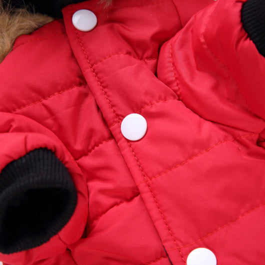 Suéter Teddy para Mascotas Otoño e Invierno - Image 9