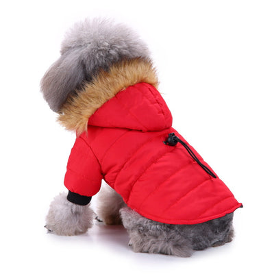 Suéter Teddy para Mascotas Otoño e Invierno - Image 14