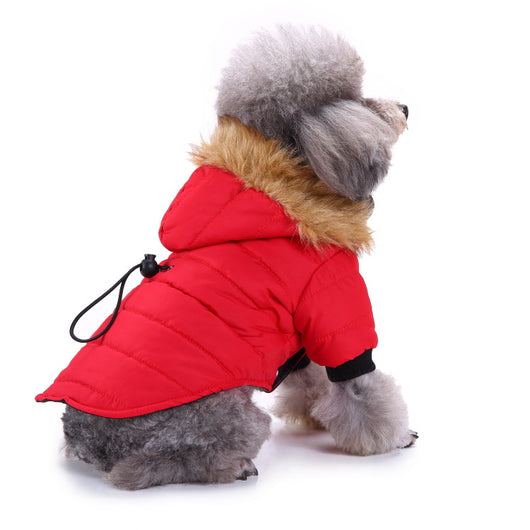 Suéter Teddy para Mascotas Otoño e Invierno - Image 12