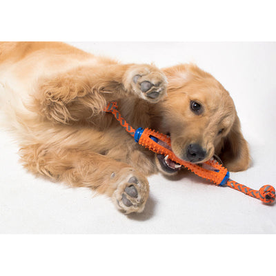 Cepillo Dental para Perros con Cerdas de Goma Suave - Image 8