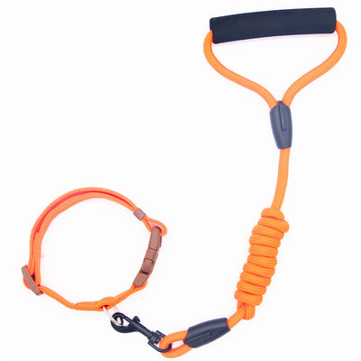 Correa y Collar para Perro - Cadena de Seguridad Resistente - Image 9