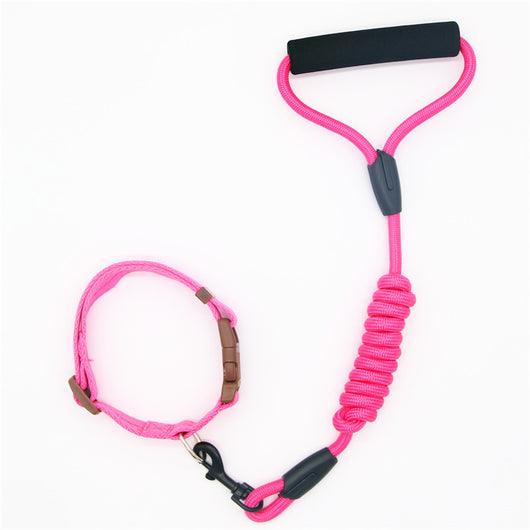 Correa y Collar para Perro - Cadena de Seguridad Resistente - Image 10