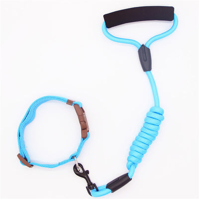 Correa y Collar para Perro - Cadena de Seguridad Resistente - Image 14