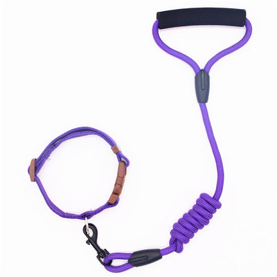 Correa y Collar para Perro - Cadena de Seguridad Resistente - Image 12