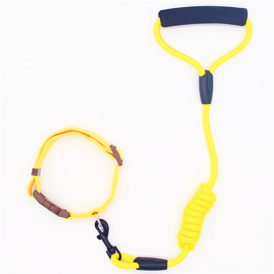 Correa y Collar para Perro - Cadena de Seguridad Resistente