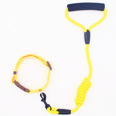 Correa y Collar para Perro - Cadena de Seguridad Resistente