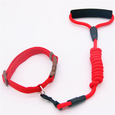 Correa y Collar para Perro - Cadena de Seguridad Resistente - Image 6
