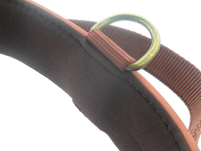 Collares para Perros Grandes - Correas Resistentes y Cómodas - Image 9