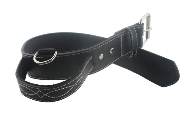 Collares para Perros Grandes - Correas Resistentes y Cómodas