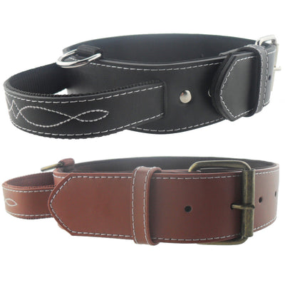 Collares para Perros Grandes - Correas Resistentes y Cómodas - Image 5