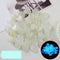 Blanco 100 Piezas
