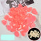Rosado 100 Piezas