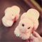 Pantuflas Invierno Niñas Conejo Rex - Zapatillas Casa Cálidas y Adorables
