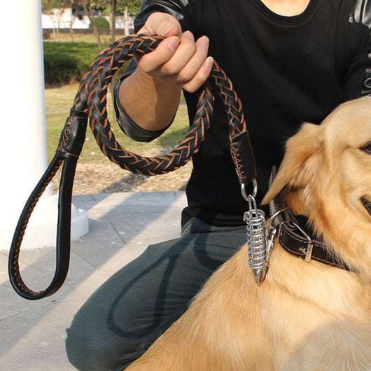 Cuerda de Tracción para Mascotas de Cuero Trenzado con Resorte - Image 6