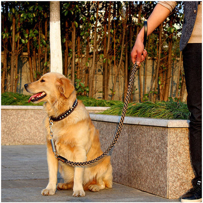 Cuerda de Tracción para Mascotas de Cuero Trenzado con Resorte - Image 5
