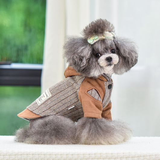 Ropa Abrigada para Cachorros - Protección en Otoño e Invierno - Image 3