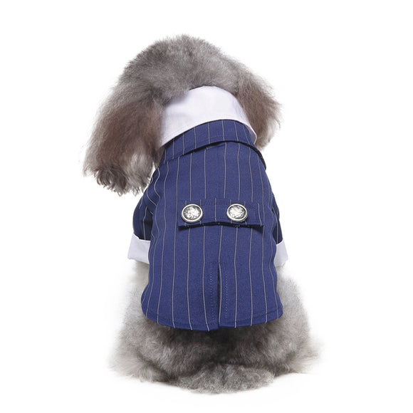 Traje de Etiqueta y Vestido de Novia para Perros