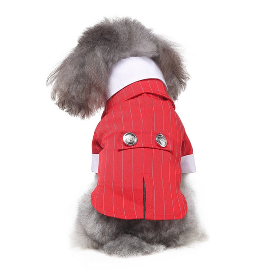Traje de Etiqueta y Vestido de Novia para Perros - Image 3