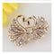 Full diamond swan brooch Set