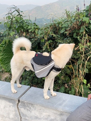 Mochila para Perros - Lleva a tu Mascota con Comodidad - Image 14