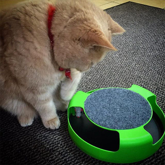 Rascador Interactivo para Gatos con Juguete Ratón - Tabla Rayadora Premium - Image 11