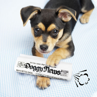 Juguete Masticable para Perros con Sonido Crujiente - Entrenamiento y Diversión - Image 10