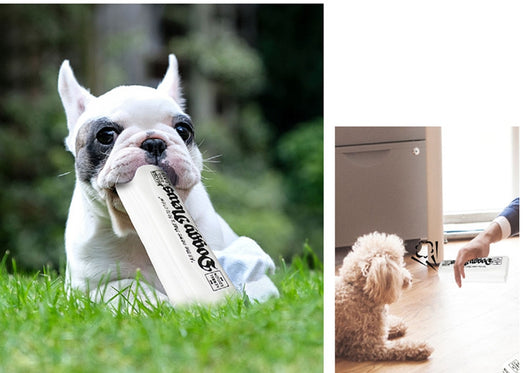 Juguete Masticable para Perros con Sonido Crujiente - Entrenamiento y Diversión - Image 7