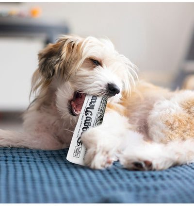 Juguete Masticable para Perros con Sonido Crujiente - Entrenamiento y Diversión - Image 9
