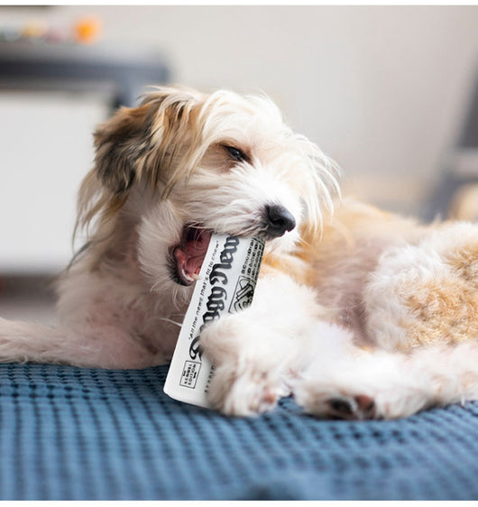 Juguete Masticable para Perros con Sonido Crujiente - Entrenamiento y Diversión - Image 9