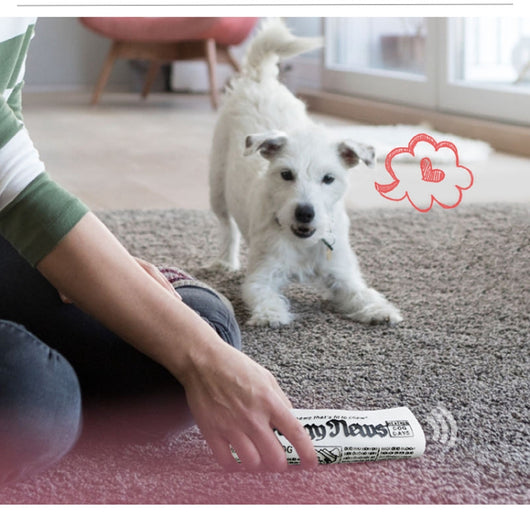 Juguete Masticable para Perros con Sonido Crujiente - Entrenamiento y Diversión - Image 13