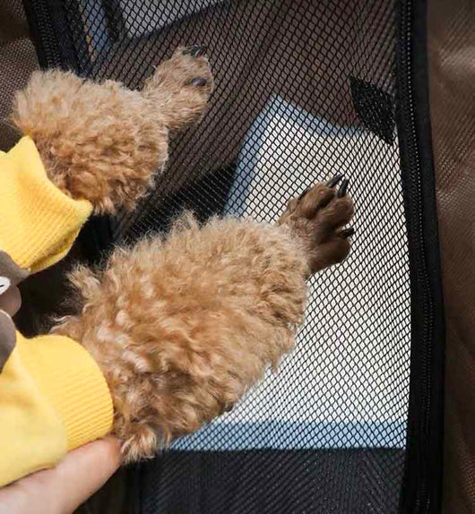 Casa Desmontable para Mascotas con Tela Oxford - Corral Portátil para Perros y Gatos - Image 9