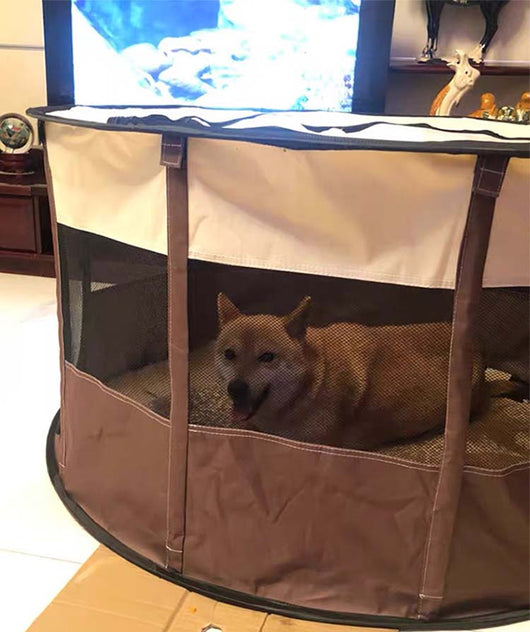 Casa Desmontable para Mascotas con Tela Oxford - Corral Portátil para Perros y Gatos - Image 19