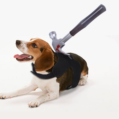 Ropa divertida de Halloween para mascotas - Image 3