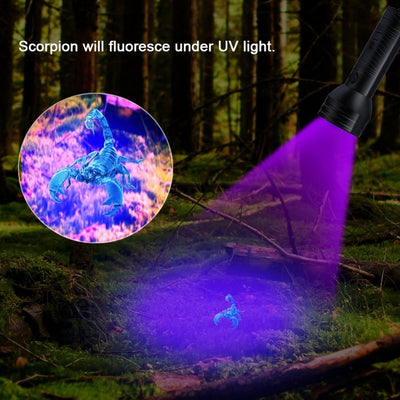 Linterna UV de Luz Negra Ultravioleta - Image 6