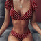Wine Rojo