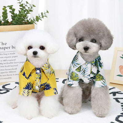 Ropa Fresca para Perros - Prendas Ligeras de Verano - Image 13